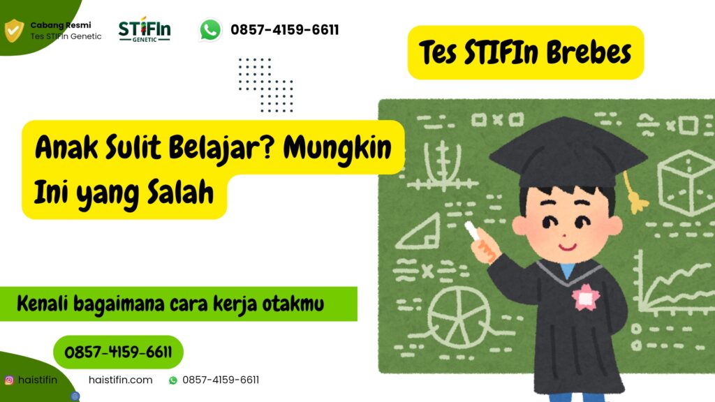 tes stifin brebes membantu anak menemukan gaya belajar